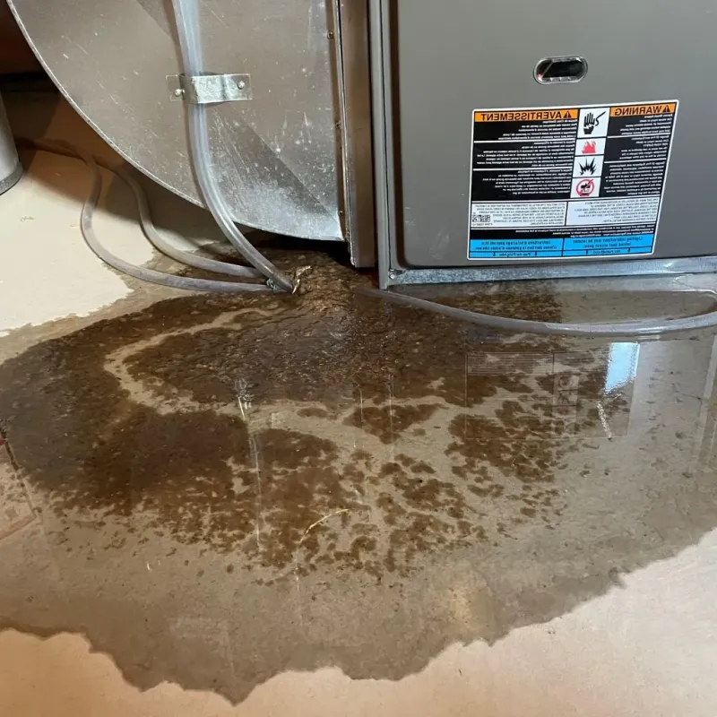 Pipe Burst and Leak Restoration in McPherson, KS